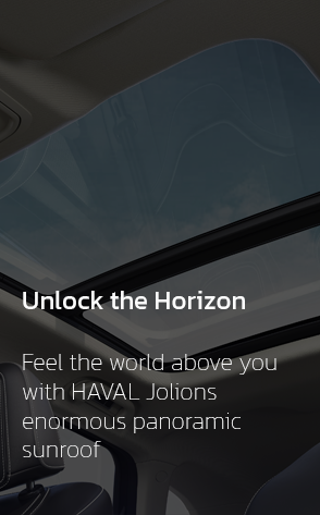 HAVAL Jolion HEV