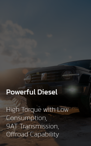 TANK 300 DIESEL 4x2