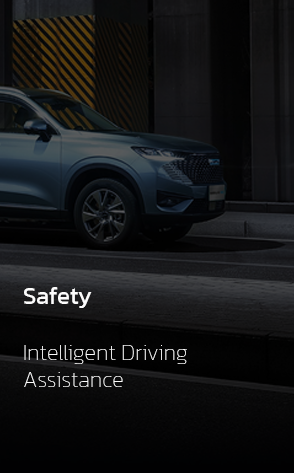 HAVAL H6 HEV